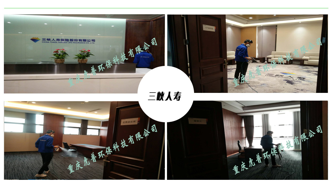 重庆除甲醛公司 重庆除甲醛公司