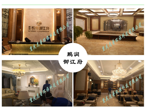 重庆除甲醛公司 重庆除甲醛公司