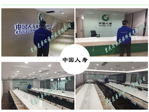 重庆除甲醛公司 重庆除甲醛公司