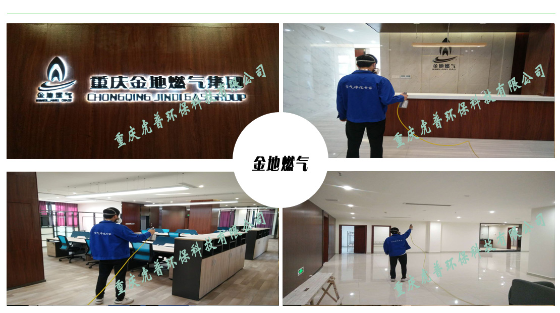 重庆除甲醛公司 重庆除甲醛公司