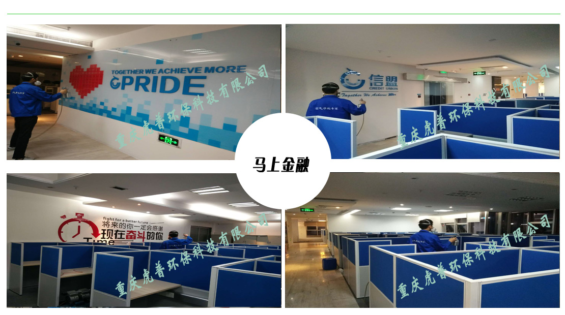 重庆除甲醛公司 重庆除甲醛公司