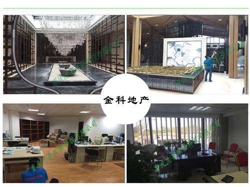 重庆除甲醛公司 重庆除甲醛公司