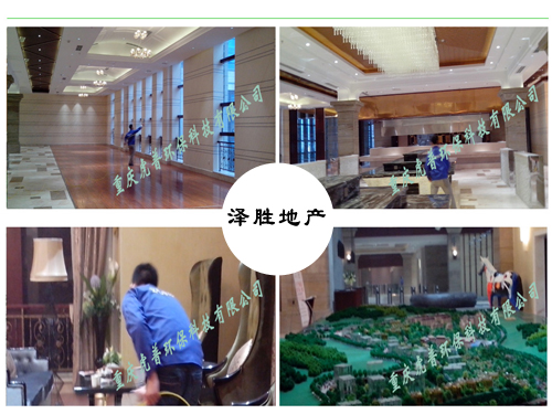 重庆除甲醛公司 重庆除甲醛公司