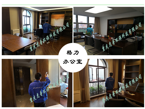 重庆除甲醛公司 重庆除甲醛公司