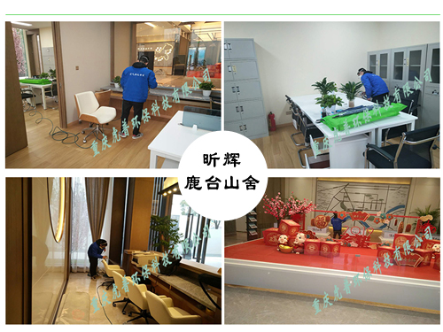 重庆除甲醛公司 重庆除甲醛公司