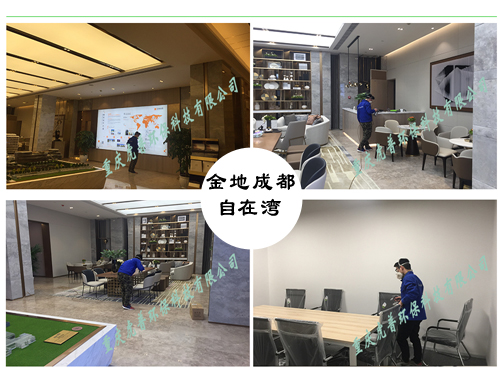 重庆除甲醛公司 重庆除甲醛公司