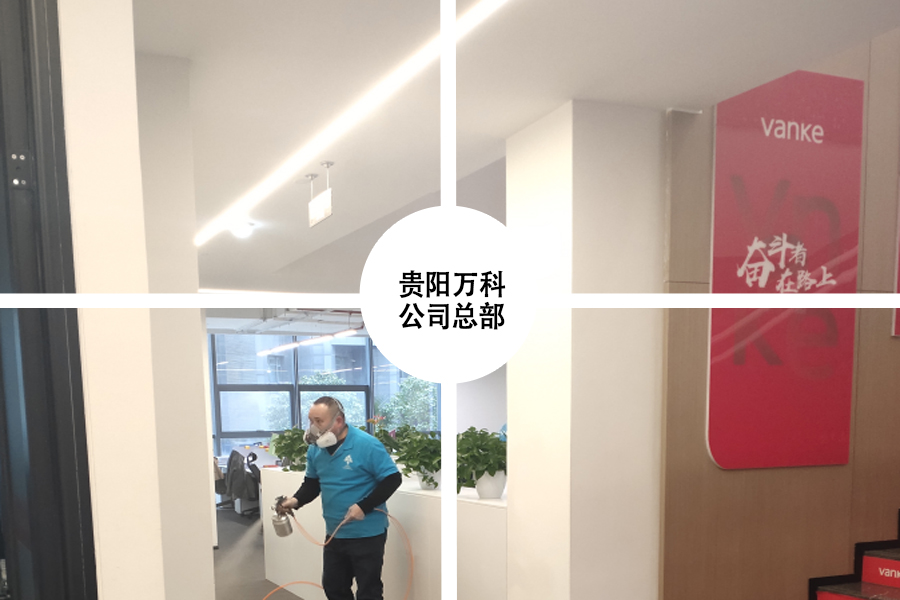 贵阳除甲醛公司 贵阳除甲醛公司